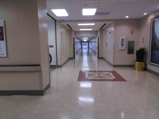 1535220962426649561295